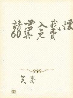 请君入我怀1~60集免费