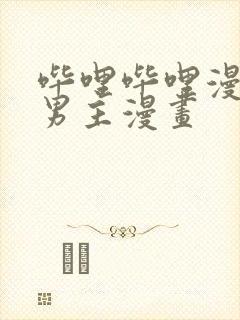 哔哩哔哩漫画双男主漫画