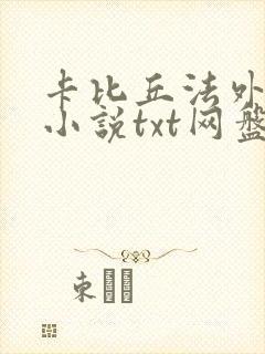 卡比丘法外之徒小说txt网盘