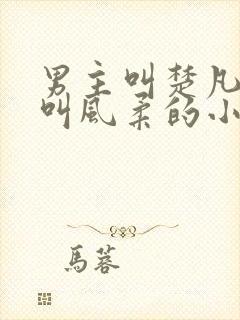 男主叫楚凡女主叫风柔的小说名字叫