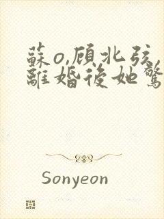 苏o,顾北弦,离婚后她惊艳了世界