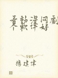 看动漫网剧用哪个软件好