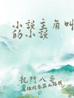 小说主角叫秦宇的小说