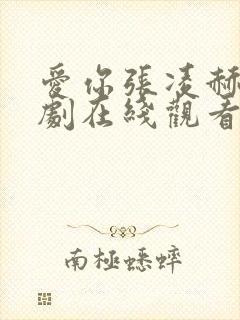 爱你张凌赫电视剧在线观看免费