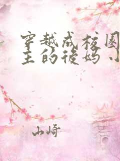 穿越成校园文男主的后妈 小说