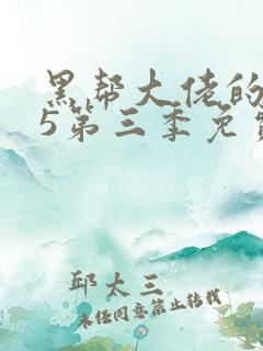 黑帮大佬的365第三季免费观看完整