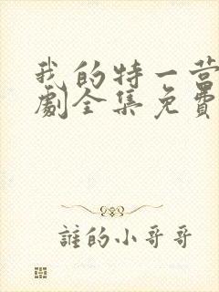 我的特一营电视剧全集免费播放