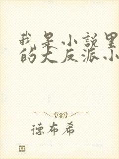 我是小说里共同的大反派小说免费