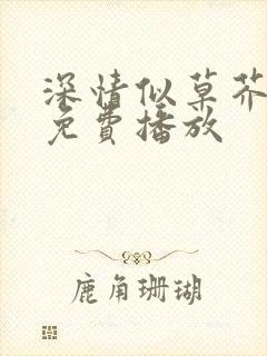 深情似草芥短剧免费播放