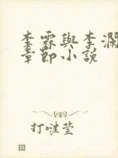 李霖与李澜最新章节小说