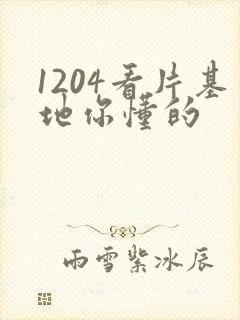 1204看片基地你懂的