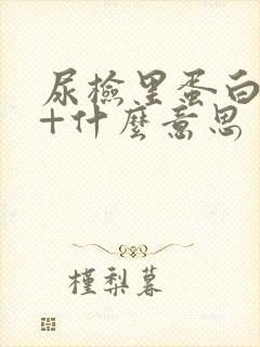 尿检里蛋白质2+什么意思