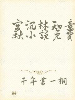 宫沉林知意宋婉秋小说免费阅读最新