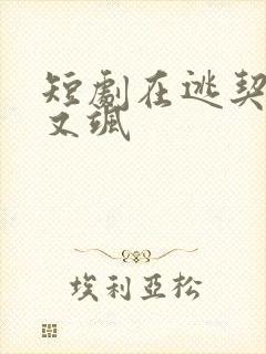 短剧在逃契妻美又飒
