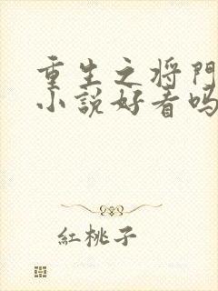 重生之将门毒后小说好看吗