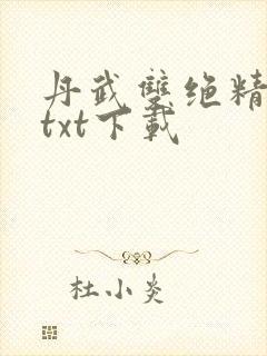 丹武双绝精校版txt下载