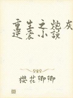 重生之炮灰女的逆袭小说