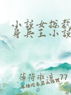 小说女总裁的贴身兵王小说