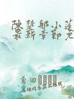 陈楚那小莲小说最新章节免费阅读