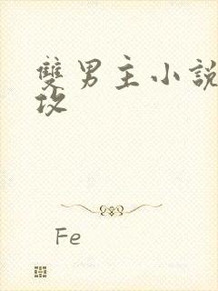 双男主小说年下攻