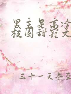 男主是高冷校草校园甜宠文