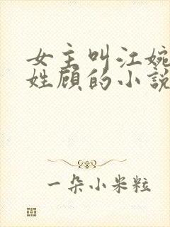 女主叫江婉男主姓顾的小说