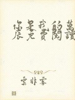 你是我的万千星辰免费阅读的