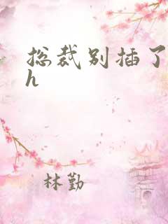 总裁别插了男男h