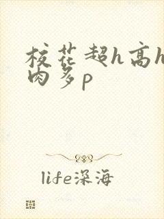 校花超h高h污肉多p