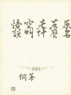 悟空老友原著小说叫什么名字