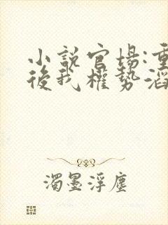 小说官场:重生后我权势滔天林峰在线阅读