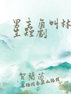 男主角叫林萧重生短剧