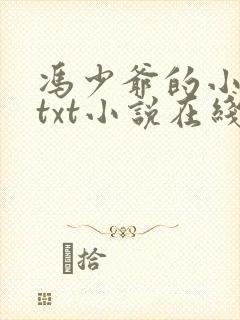 冯少爷的小丫鬟txt小说在线阅读