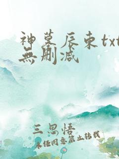 神墓辰东txt无删减