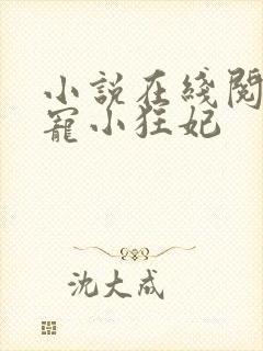 小说在线阅读绝宠小狂妃