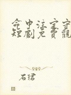 命中注定守护你短剧免费观看全集高清