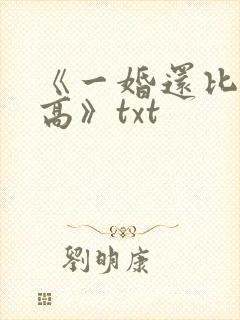 《一婚还比一婚高》txt