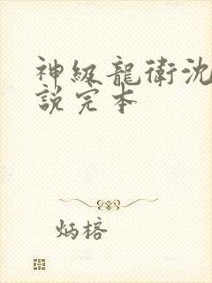 神级龙卫沈浪小说完本