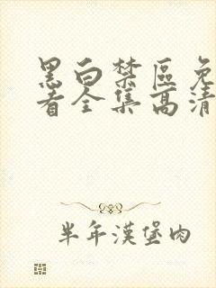 黑白禁区免费观看全集高清