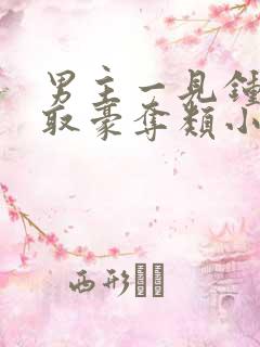 男主一见钟情强取豪夺类小说