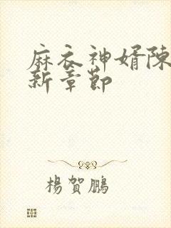 麻衣神婿陈黄皮新章节