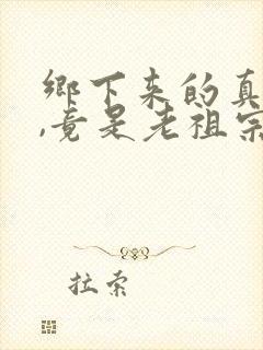 乡下来的真千金,竟是老祖宗短剧