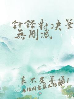 针锋对决笔趣阁 无删减