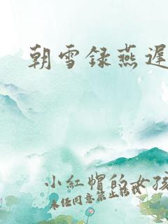 朝雪录燕迟被打