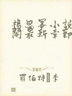 杨思幂小说笔趣阁最新章节