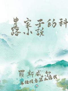 农家子的科举之路小说