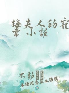 梅夫人的宠夫日常 小说