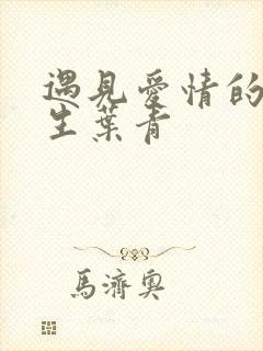 遇见爱情的利先生叶青