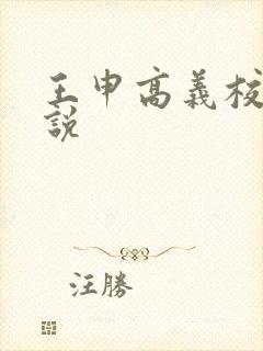 王申高义校长小说