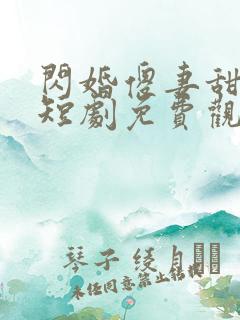 闪婚傻妻甜又傻短剧免费观看全集